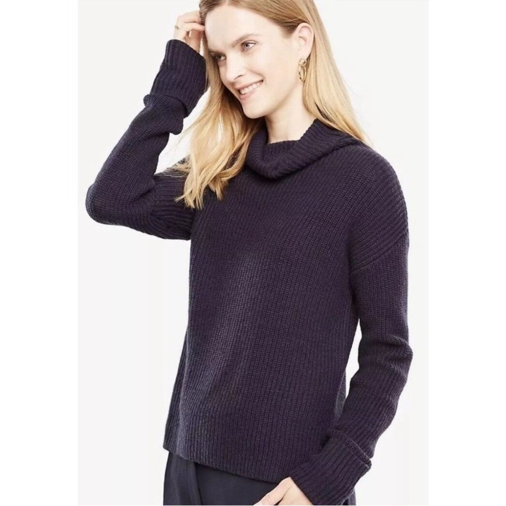 Ann Taylor Hi-Lo Ribbed Turtleneck